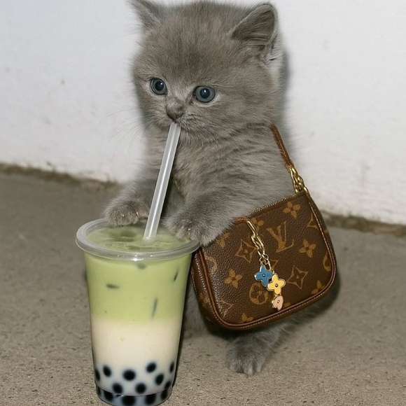 Meet the Posher Other - Meet your Posher, Aminah